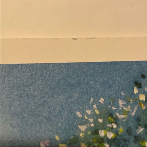 “Garden Party” Print by Chris Bollen 20.25x11.25- Unframed - Picture 9 of 11